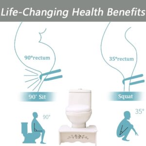 Poop Stool Adult Toilet Stool