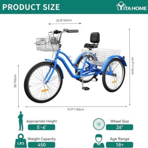 Adult Tricycle