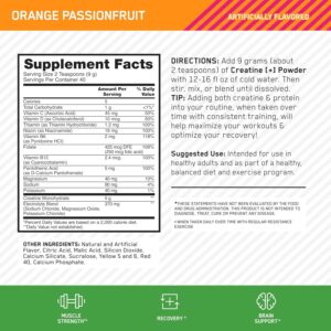 Optimum Nutrition Creatine