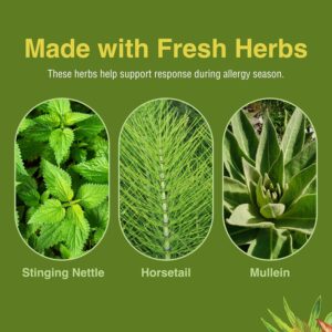 Allergy ReLeaf System
