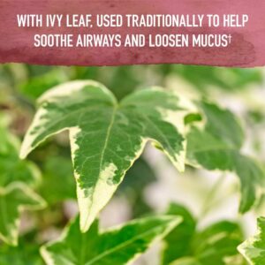 Organics Elderberry
