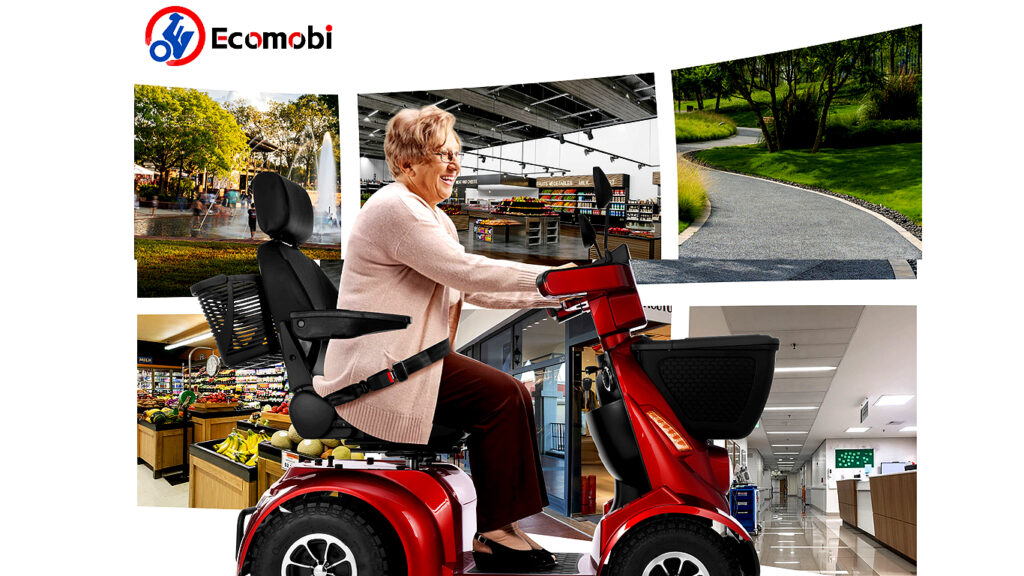 1000W Electric Mobility Scooter