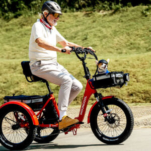 TK Pro Electric Trike