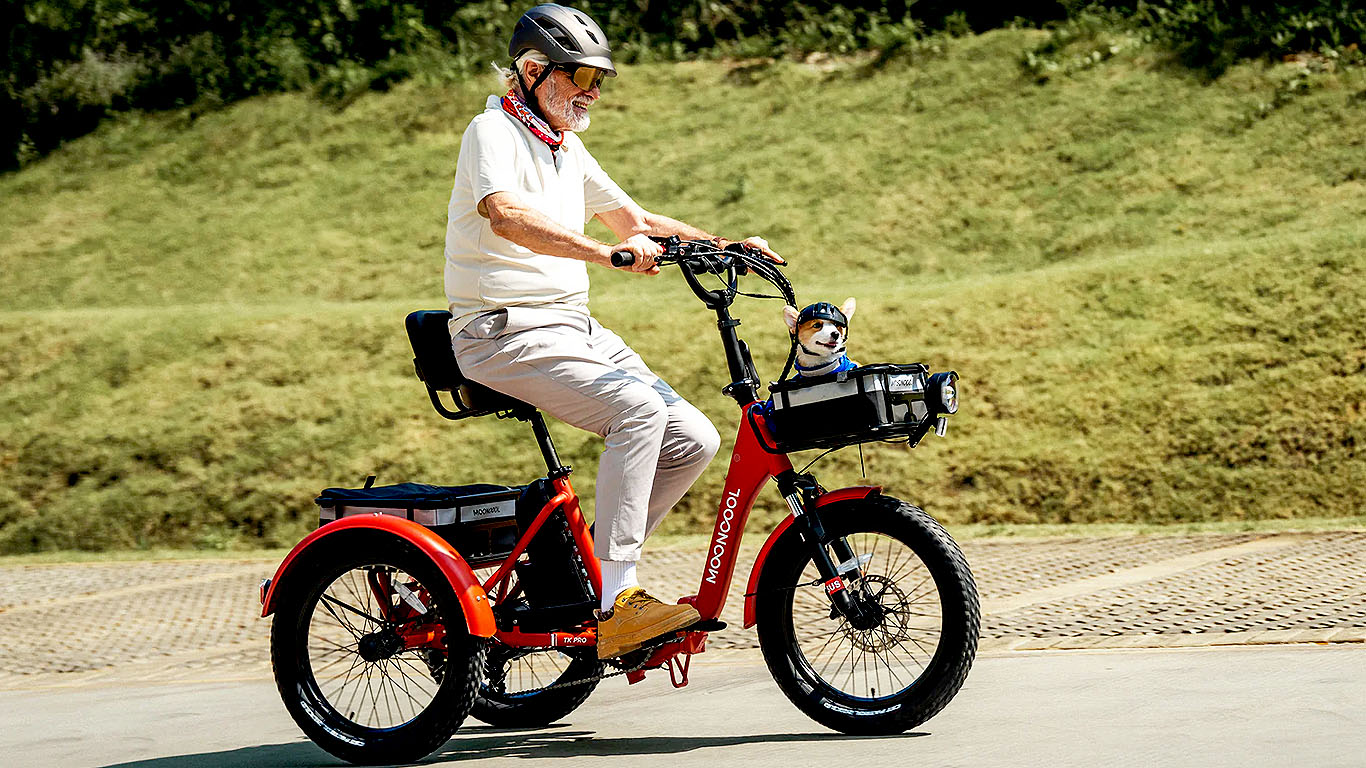 TK Pro Electric Trike