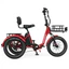 TK Pro Electric Trike - Image 4