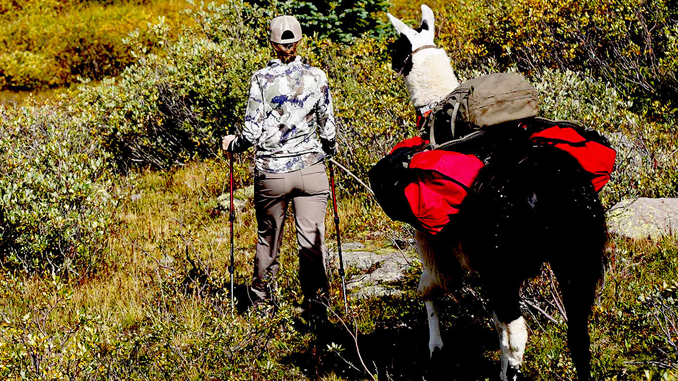 Women's XKG Ridge Pant