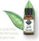 Garden of Life Essential Oils Starter Pack Lavender 100%