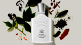 Creed Silver Mountain Water